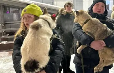 Pets and Animal Rights