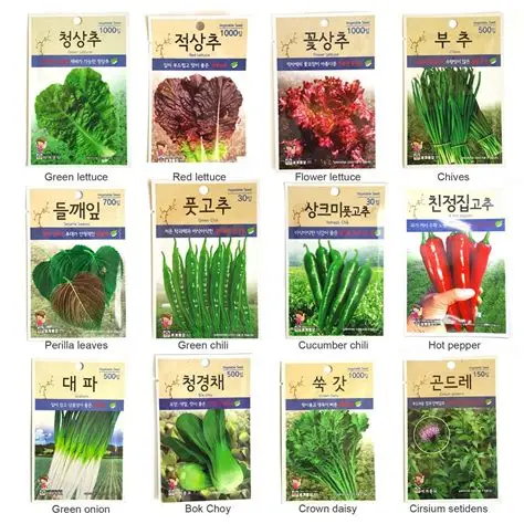 학교 텃밭 (Vegetable Garden at School)